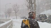 ブギウギ専務 DVD vol.2「ブギウギ奥の細道~冬の章~」(c)STV