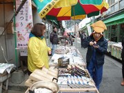 ダイオウイカの取材を行うナインティ岡村。(c)日本テレビ