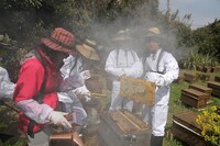 「O・A・SO・BI MASTERS～おあそびマスターズ～」（J:COMチャンネル）