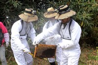 「O・A・SO・BI MASTERS～おあそびマスターズ～」（J:COMチャンネル）