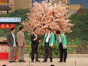 伝統の珠代壁芸指南も、高井が愛妻あき恵のために奮闘