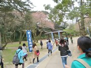 絶好のポイント・土俵を見つけて駆け寄り四股を踏むある子と、それを撮影しようとダッシュする参加者たち。