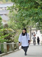 ミステリーハンター風のある子。