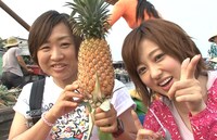 「世界に飛び出せ！ワンダラー」（c）関西テレビ