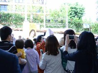 大勢のギャラリーに囲まれる朱美ちゃん3号。