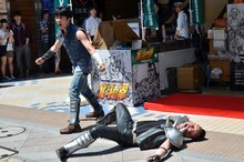 キャベツ確認中