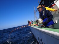 「シリーズ第20弾 ニッポンを釣りたい！～天下の釣り好き 大集合！～」のワンシーン。(c)テレビ新広島