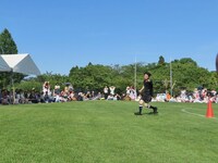 文田の暴言に怒り走ってくる菊地。