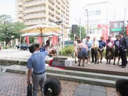 相模原市長代理に「挟まれたいんだろ！」をサービスするシリフリ松丸ホルモン。