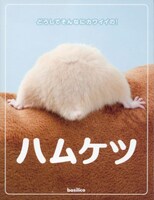 「ハムケツ－どうしてそんなにカワイイの！」カバー