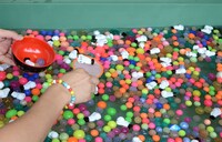 「ダーイシすくい」の様子。ポイの上に乗っているのが“ダーイシ”。