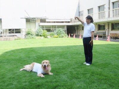 あたりまえ体操にチャレンジするCOWCOW善しと愛犬・パル。