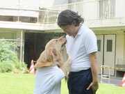 仲よしの善しとパル。