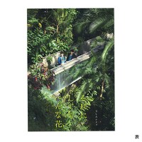 うしろシティ単独ライブ「それにしてもへんな花」パンフレット