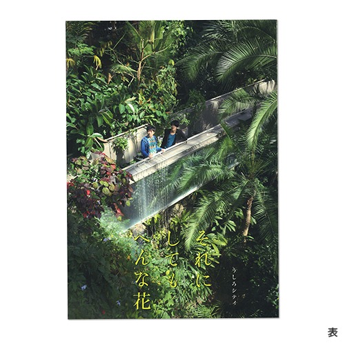 うしろシティ単独ライブ「それにしてもへんな花」パンフレット