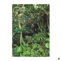 うしろシティ単独ライブ「それにしてもへんな花」パンフレット