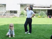 決めポーズはできないパル。