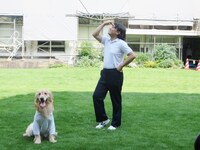 決めポーズはできないパル。