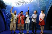 「世界に誇れ！ニッポンの水族館 各地で注目のすごーい！ 展示をどんどん見せちゃいます」(c)札幌テレビ