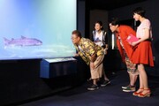「世界に誇れ！ニッポンの水族館 各地で注目のすごーい！ 展示をどんどん見せちゃいます」(c)札幌テレビ