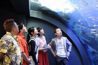 「世界に誇れ！ニッポンの水族館 各地で注目のすごーい！ 展示をどんどん見せちゃいます」(c)札幌テレビ