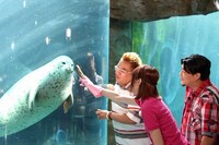 「世界に誇れ！ニッポンの水族館 各地で注目のすごーい！ 展示をどんどん見せちゃいます」(c)札幌テレビ