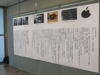 スティーブ・キムズの年表。