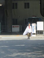 紫の巨大籠の前にさっそうと現れた武将様。ゴエ爺が「不審者に観られそう」と心配。