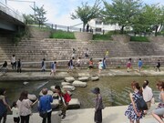 砂金探しをする一行。