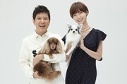 「ペットの王国 ワンだランド」（ABC・テレビ朝日系）MCの関根勤（左）と篠田麻里子（右）。(c)ABC