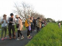 RG撮影会と、RG撮影会に興味のないタケトと、撮った写真を参加者に自慢する蔦谷。