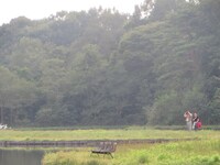 池の周りを見渡すRGと蔦谷。