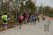 「湾岸EKIDEN フェスティバル2014」