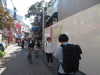 竹下通りでカメラを向けられながら歩く犬の心。