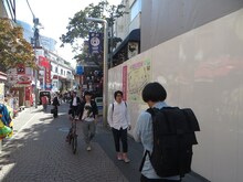 竹下通りでカメラを向けられながら歩く犬の心。