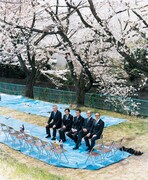 「シティボーイズ『西瓜割の棒、あなたたちの春に、桜の下ではじめる準備を』作・演出 宮沢章夫」メインビジュアル