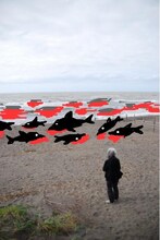 落書き作品「おもフォト」の使用例。野性爆弾・川島による「海の異変」。