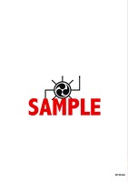 HMV用特典のミニクリアファイルの裏面。