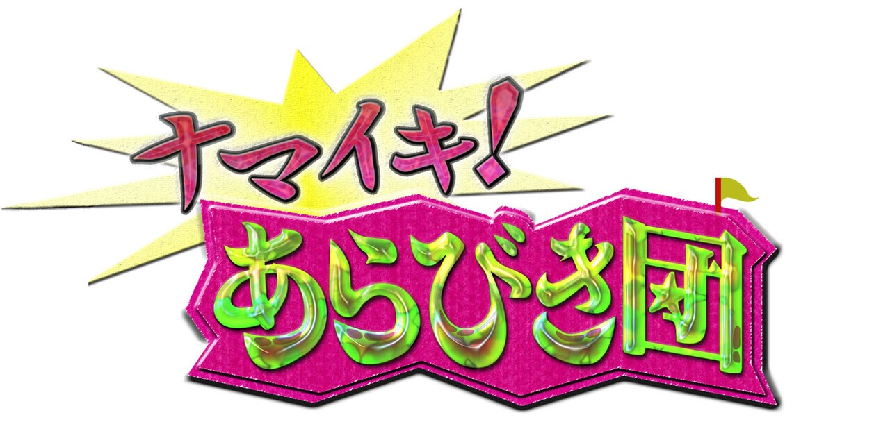 DVD「ナマイキ！あらびき団」特典、ライト東野＆レフト藤井カレンダー