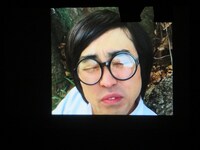 ヒカリゴケの解散について答えた近所の虫博士。