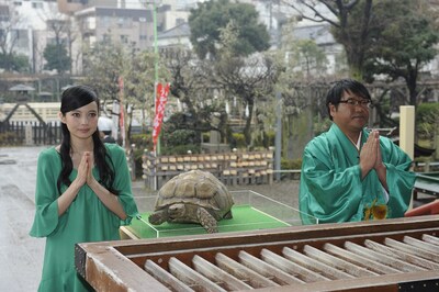 映画「ミュータント・タートルズ」のヒット祈願イベントに登場した、カンニング竹山（右）、ベッキー（左）。中央はベッキーがペットとして飼っている亀・ガラパゴス。