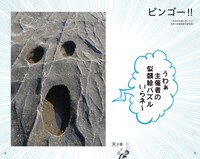 書籍「顔道 身のまわりにある、かお・かお・かお」イメージ
