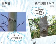 書籍「顔道 身のまわりにある、かお・かお・かお」イメージ