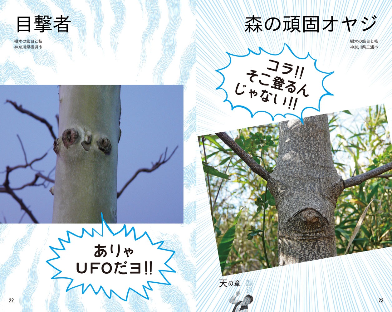 書籍「顔道 身のまわりにある、かお・かお・かお」イメージ