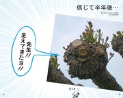 書籍「顔道 身のまわりにある、かお・かお・かお」イメージ