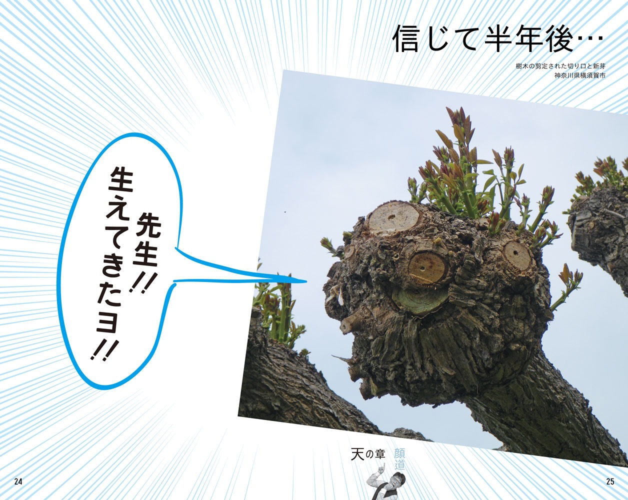 書籍「顔道 身のまわりにある、かお・かお・かお」イメージ