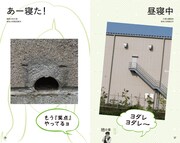 書籍「顔道 身のまわりにある、かお・かお・かお」イメージ