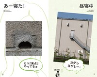 書籍「顔道 身のまわりにある、かお・かお・かお」イメージ