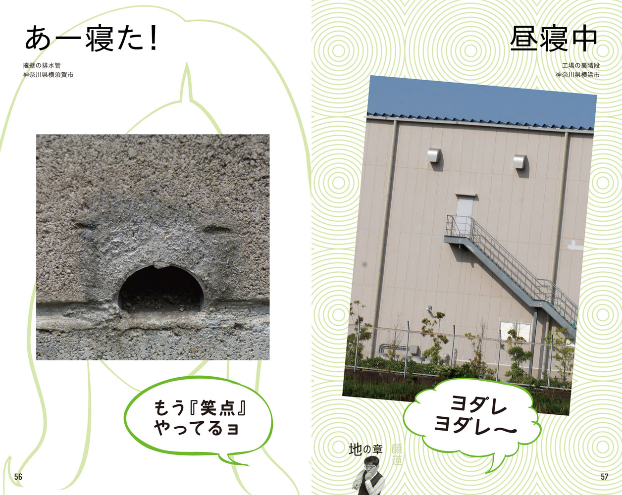 書籍「顔道 身のまわりにある、かお・かお・かお」イメージ