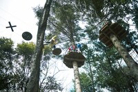 高所のアスレチックにも徐々に慣れを感じる3人。